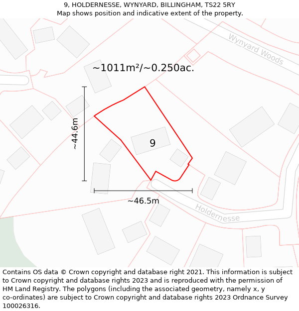 9, HOLDERNESSE, WYNYARD, BILLINGHAM, TS22 5RY: Plot and title map