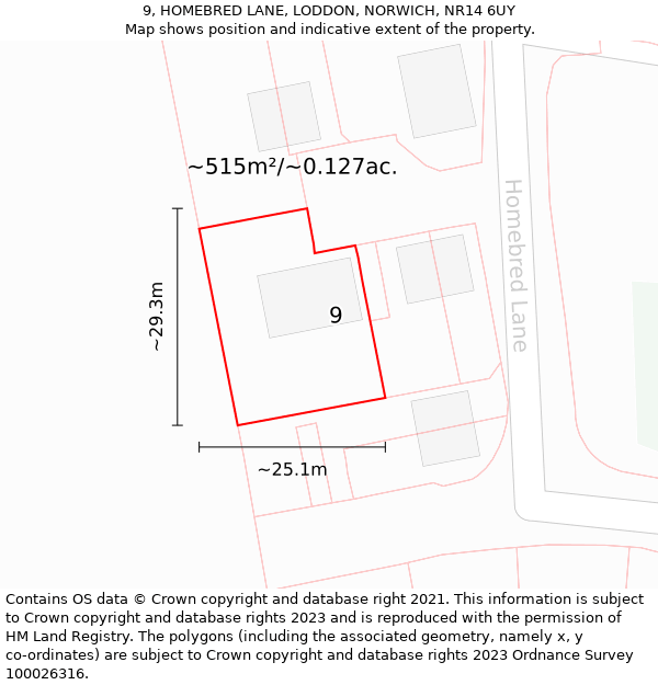 9, HOMEBRED LANE, LODDON, NORWICH, NR14 6UY: Plot and title map