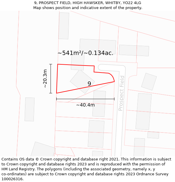 9, PROSPECT FIELD, HIGH HAWSKER, WHITBY, YO22 4LG: Plot and title map