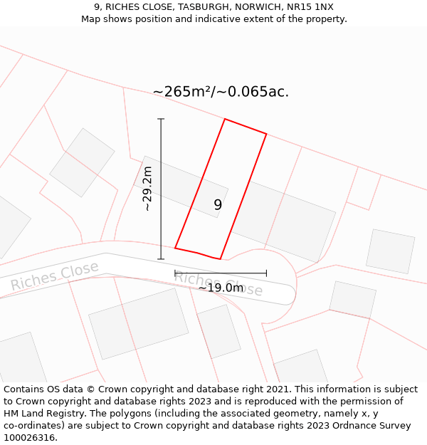 9, RICHES CLOSE, TASBURGH, NORWICH, NR15 1NX: Plot and title map