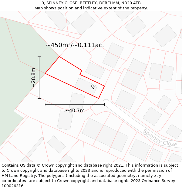 9, SPINNEY CLOSE, BEETLEY, DEREHAM, NR20 4TB: Plot and title map