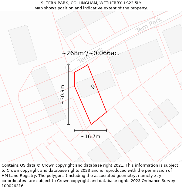 9, TERN PARK, COLLINGHAM, WETHERBY, LS22 5LY: Plot and title map