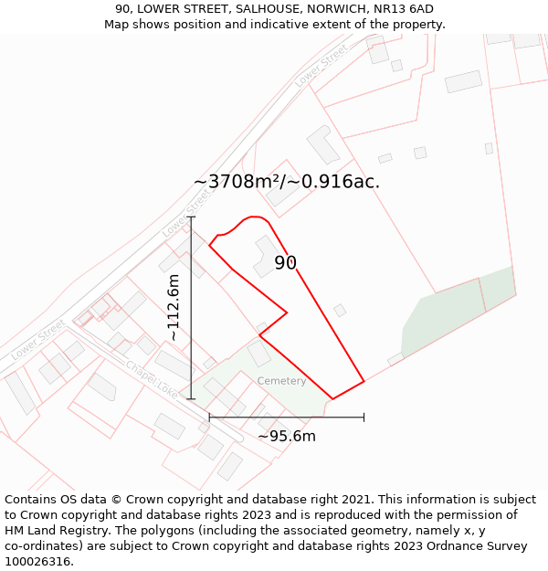 90, LOWER STREET, SALHOUSE, NORWICH, NR13 6AD: Plot and title map