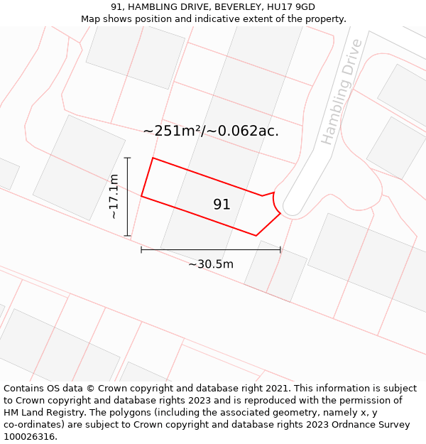 91, HAMBLING DRIVE, BEVERLEY, HU17 9GD: Plot and title map