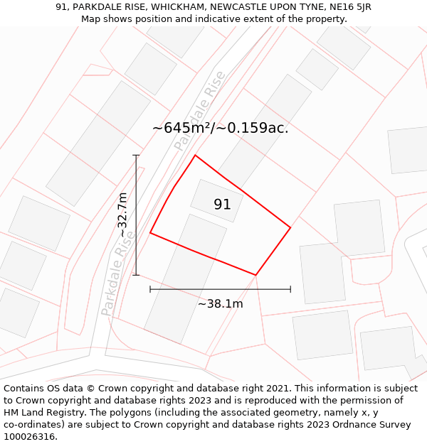 91, PARKDALE RISE, WHICKHAM, NEWCASTLE UPON TYNE, NE16 5JR: Plot and title map