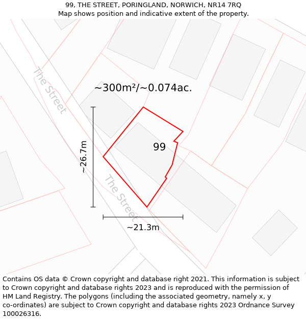 99, THE STREET, PORINGLAND, NORWICH, NR14 7RQ: Plot and title map