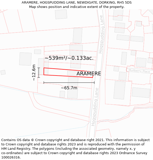 ARAMERE, HOGSPUDDING LANE, NEWDIGATE, DORKING, RH5 5DS: Plot and title map