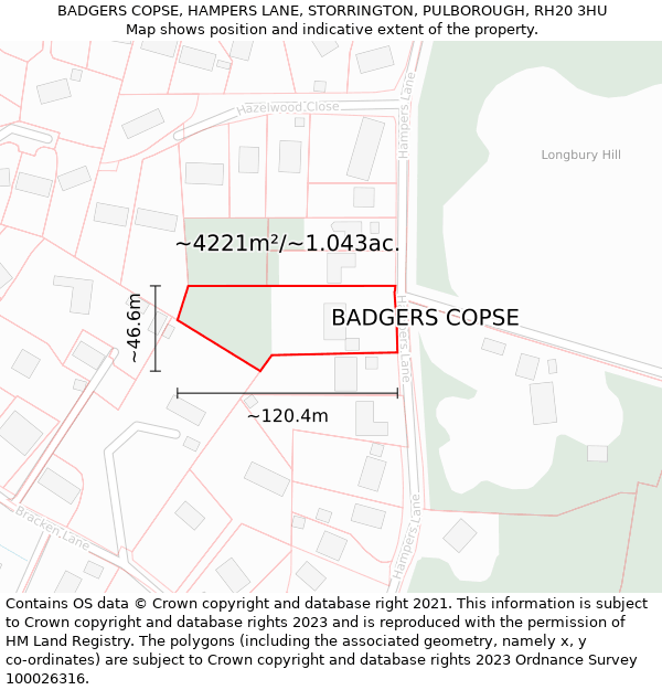 BADGERS COPSE, HAMPERS LANE, STORRINGTON, PULBOROUGH, RH20 3HU: Plot and title map