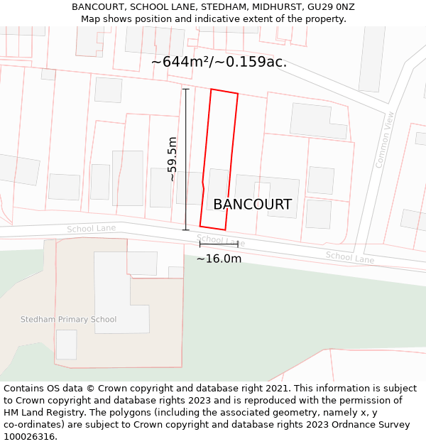 BANCOURT, SCHOOL LANE, STEDHAM, MIDHURST, GU29 0NZ: Plot and title map