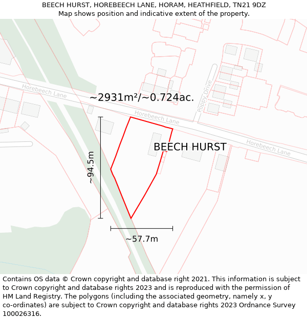 BEECH HURST, HOREBEECH LANE, HORAM, HEATHFIELD, TN21 9DZ: Plot and title map