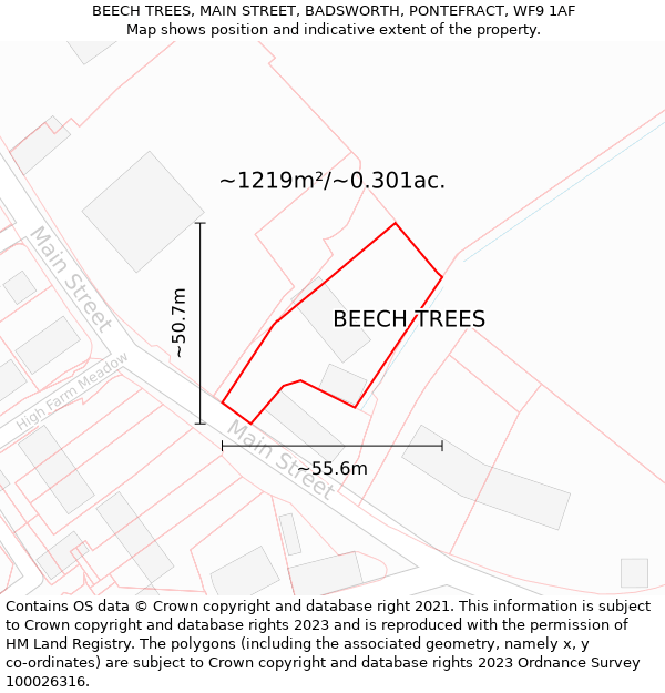 BEECH TREES, MAIN STREET, BADSWORTH, PONTEFRACT, WF9 1AF: Plot and title map