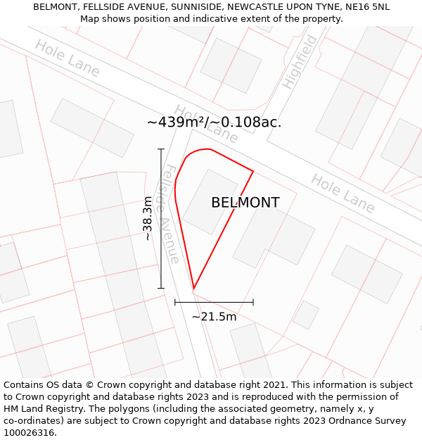 BELMONT, FELLSIDE AVENUE, SUNNISIDE, NEWCASTLE UPON TYNE, NE16 5NL: Plot and title map