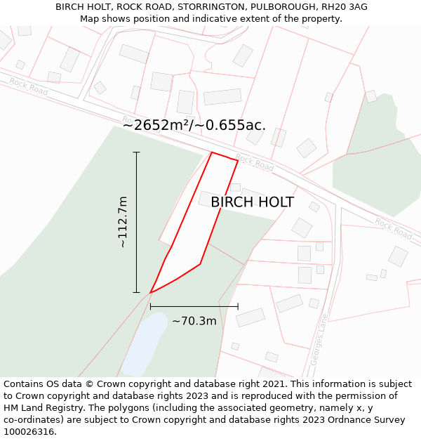 BIRCH HOLT, ROCK ROAD, STORRINGTON, PULBOROUGH, RH20 3AG: Plot and title map