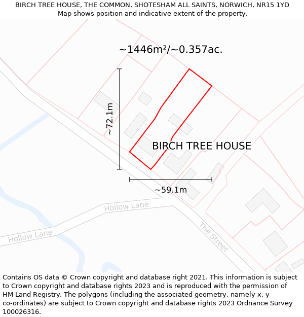 BIRCH TREE HOUSE, THE COMMON, SHOTESHAM ALL SAINTS, NORWICH, NR15 1YD: Plot and title map