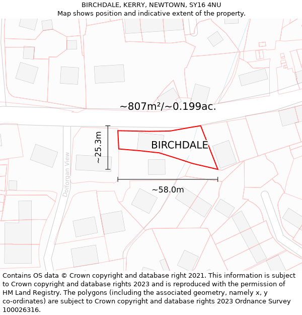 BIRCHDALE, KERRY, NEWTOWN, SY16 4NU: Plot and title map