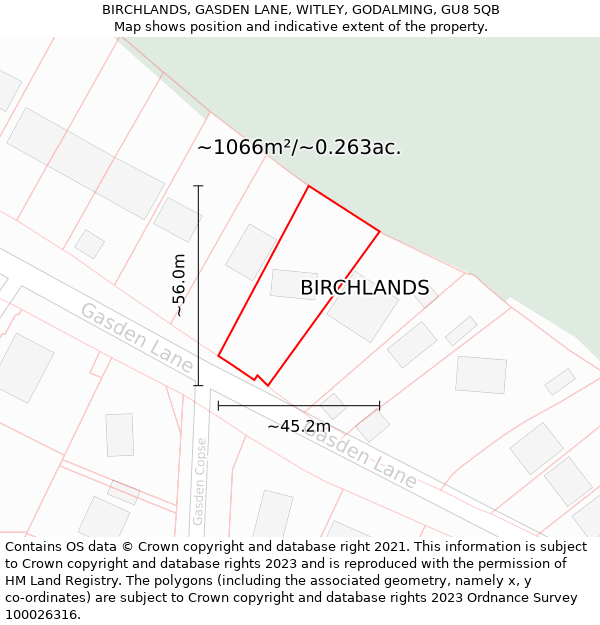 BIRCHLANDS, GASDEN LANE, WITLEY, GODALMING, GU8 5QB: Plot and title map