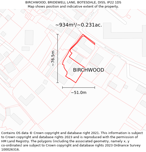 BIRCHWOOD, BRIDEWELL LANE, BOTESDALE, DISS, IP22 1DS: Plot and title map