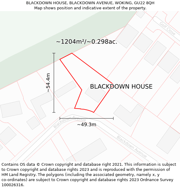 BLACKDOWN HOUSE, BLACKDOWN AVENUE, WOKING, GU22 8QH: Plot and title map