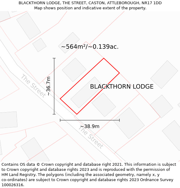 BLACKTHORN LODGE, THE STREET, CASTON, ATTLEBOROUGH, NR17 1DD: Plot and title map