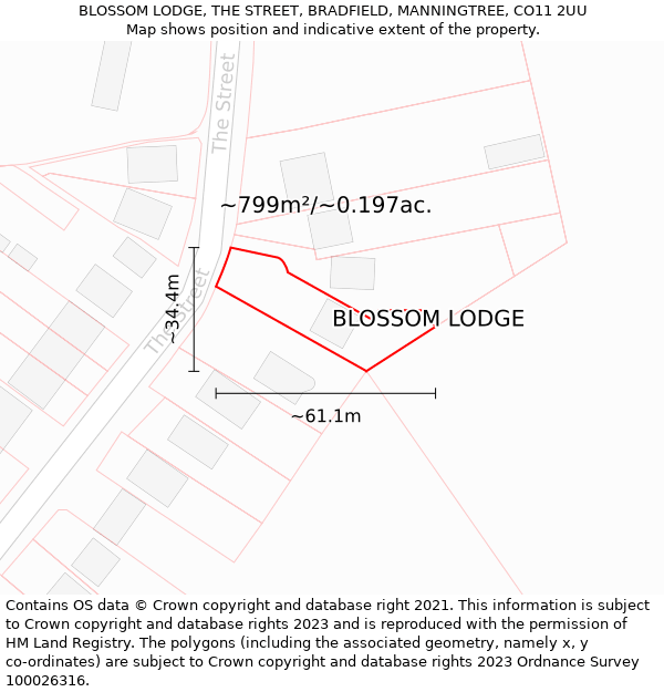 BLOSSOM LODGE, THE STREET, BRADFIELD, MANNINGTREE, CO11 2UU: Plot and title map