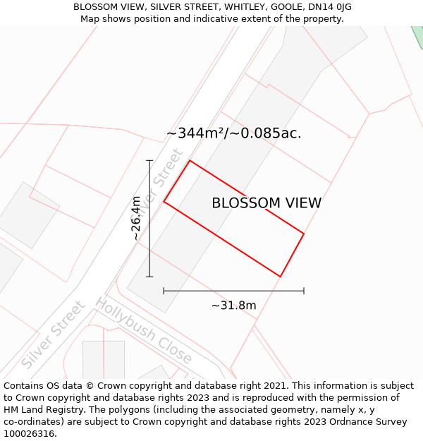 BLOSSOM VIEW, SILVER STREET, WHITLEY, GOOLE, DN14 0JG: Plot and title map