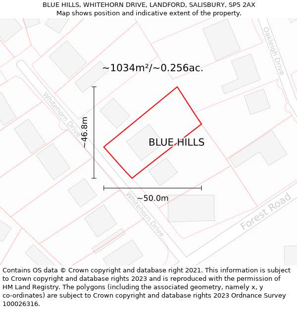 BLUE HILLS, WHITEHORN DRIVE, LANDFORD, SALISBURY, SP5 2AX: Plot and title map