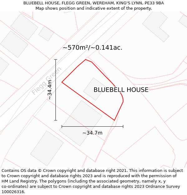 BLUEBELL HOUSE, FLEGG GREEN, WEREHAM, KING'S LYNN, PE33 9BA: Plot and title map