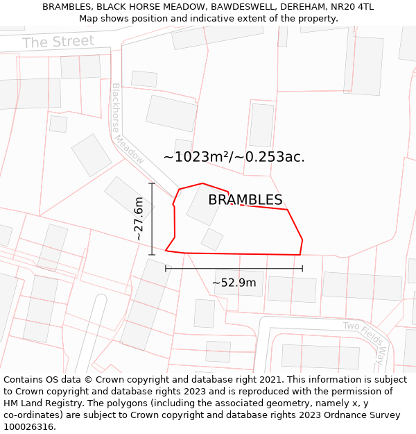 BRAMBLES, BLACK HORSE MEADOW, BAWDESWELL, DEREHAM, NR20 4TL: Plot and title map