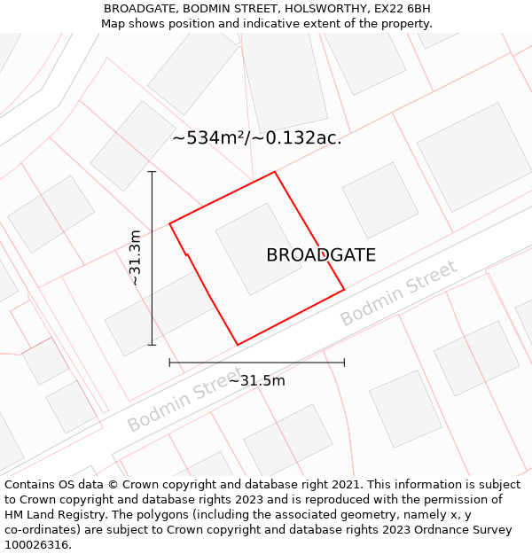 BROADGATE, BODMIN STREET, HOLSWORTHY, EX22 6BH: Plot and title map