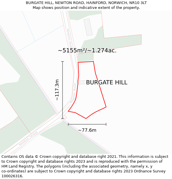 BURGATE HILL, NEWTON ROAD, HAINFORD, NORWICH, NR10 3LT: Plot and title map