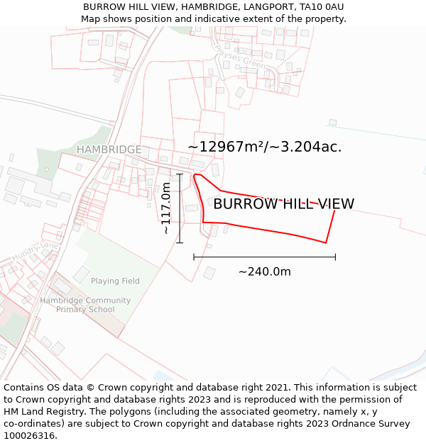 BURROW HILL VIEW, HAMBRIDGE, LANGPORT, TA10 0AU: Plot and title map