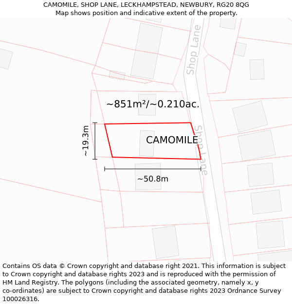 CAMOMILE, SHOP LANE, LECKHAMPSTEAD, NEWBURY, RG20 8QG: Plot and title map