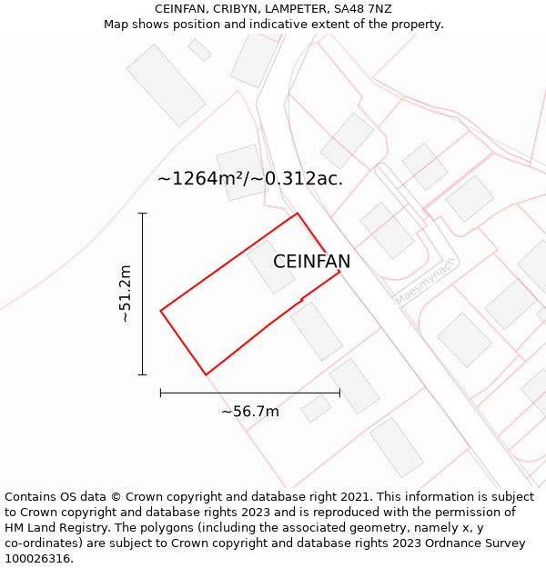 CEINFAN, CRIBYN, LAMPETER, SA48 7NZ: Plot and title map