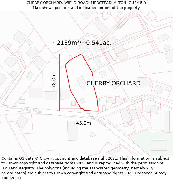 CHERRY ORCHARD, WIELD ROAD, MEDSTEAD, ALTON, GU34 5LY: Plot and title map