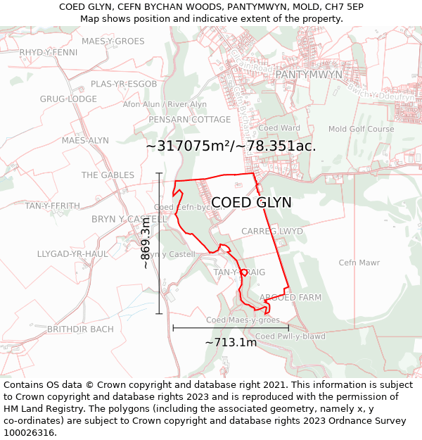 COED GLYN, CEFN BYCHAN WOODS, PANTYMWYN, MOLD, CH7 5EP: Plot and title map