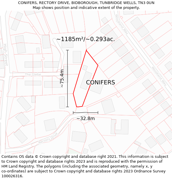 CONIFERS, RECTORY DRIVE, BIDBOROUGH, TUNBRIDGE WELLS, TN3 0UN: Plot and title map