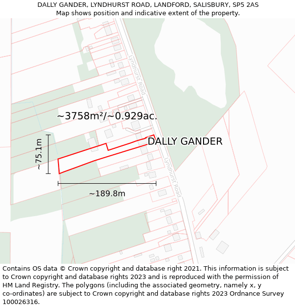 DALLY GANDER, LYNDHURST ROAD, LANDFORD, SALISBURY, SP5 2AS: Plot and title map