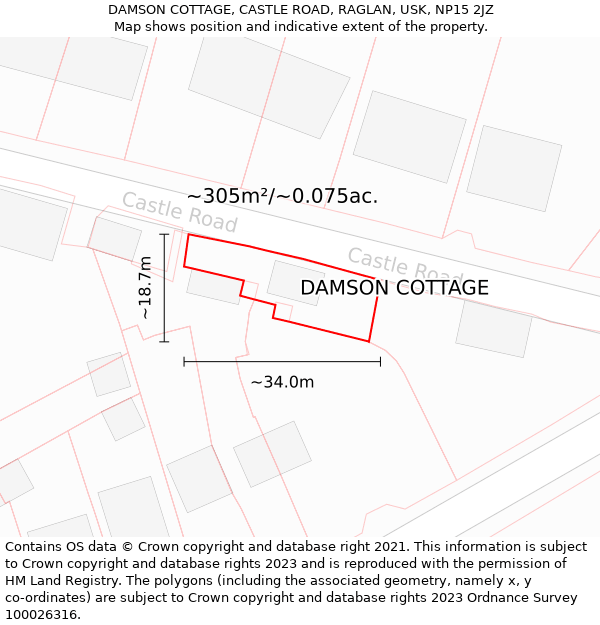 DAMSON COTTAGE, CASTLE ROAD, RAGLAN, USK, NP15 2JZ: Plot and title map