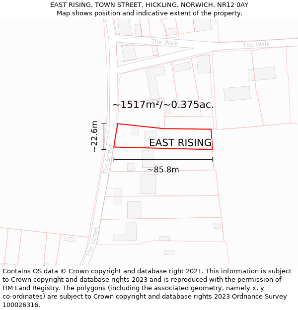 EAST RISING, TOWN STREET, HICKLING, NORWICH, NR12 0AY: Plot and title map