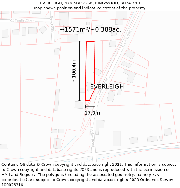 EVERLEIGH, MOCKBEGGAR, RINGWOOD, BH24 3NH: Plot and title map