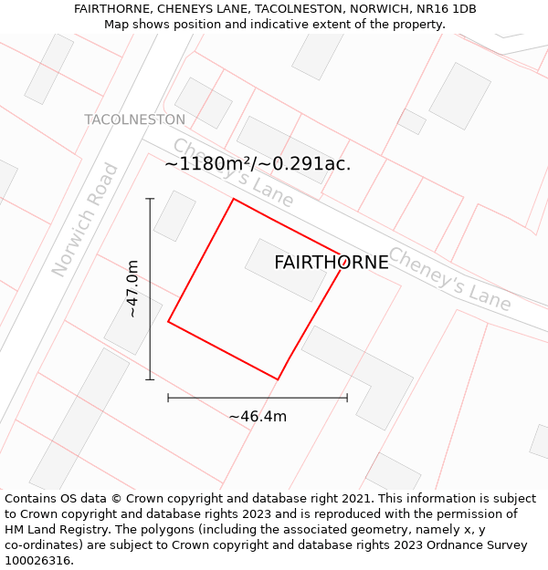 FAIRTHORNE, CHENEYS LANE, TACOLNESTON, NORWICH, NR16 1DB: Plot and title map