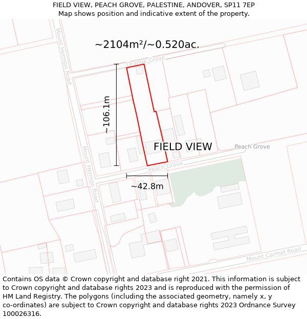 FIELD VIEW, PEACH GROVE, PALESTINE, ANDOVER, SP11 7EP: Plot and title map