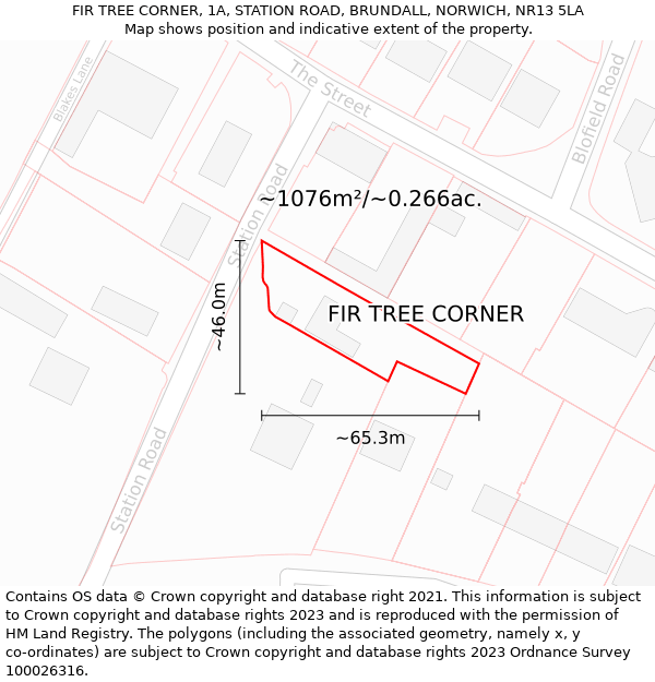 FIR TREE CORNER, 1A, STATION ROAD, BRUNDALL, NORWICH, NR13 5LA: Plot and title map