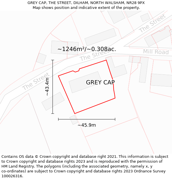 GREY CAP, THE STREET, DILHAM, NORTH WALSHAM, NR28 9PX: Plot and title map