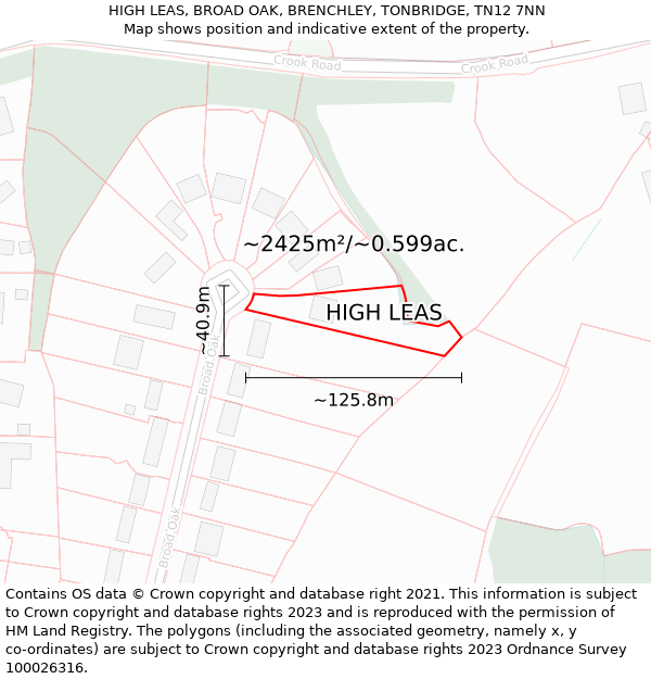 HIGH LEAS, BROAD OAK, BRENCHLEY, TONBRIDGE, TN12 7NN: Plot and title map