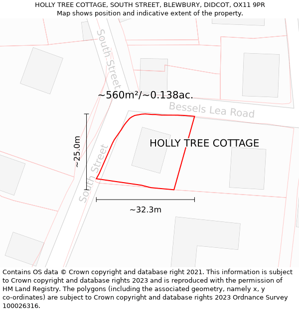 HOLLY TREE COTTAGE, SOUTH STREET, BLEWBURY, DIDCOT, OX11 9PR: Plot and title map