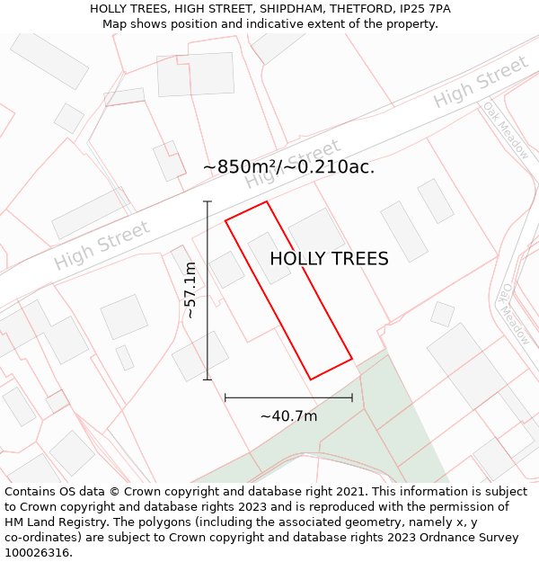 HOLLY TREES, HIGH STREET, SHIPDHAM, THETFORD, IP25 7PA: Plot and title map