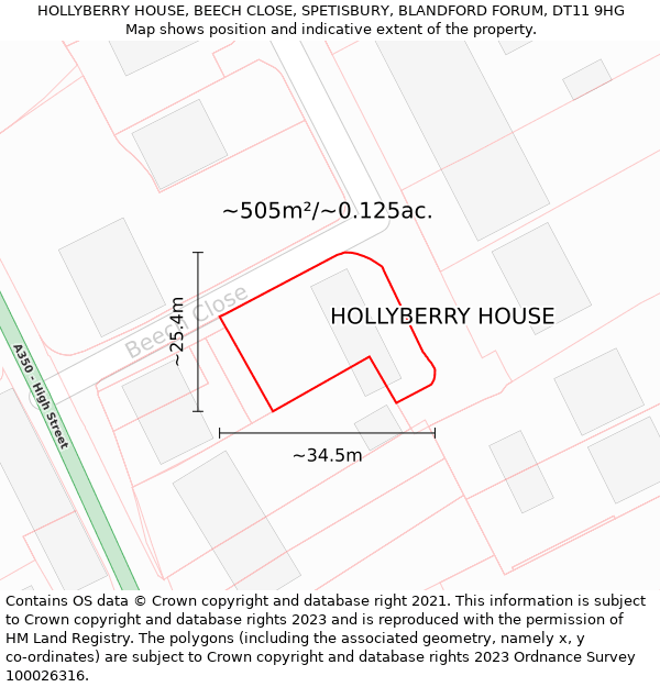 HOLLYBERRY HOUSE, BEECH CLOSE, SPETISBURY, BLANDFORD FORUM, DT11 9HG: Plot and title map
