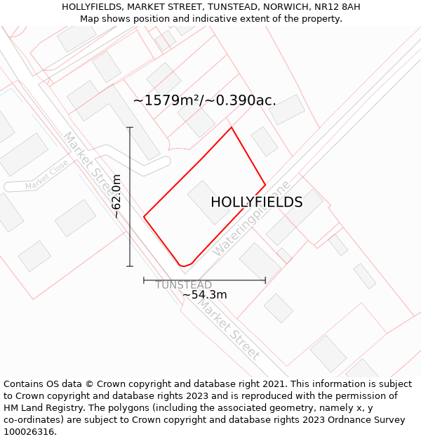 HOLLYFIELDS, MARKET STREET, TUNSTEAD, NORWICH, NR12 8AH: Plot and title map