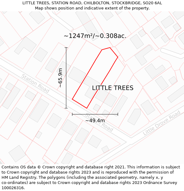 LITTLE TREES, STATION ROAD, CHILBOLTON, STOCKBRIDGE, SO20 6AL: Plot and title map